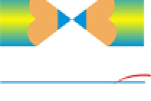 logo-undime