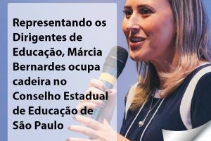 undimesp_2010