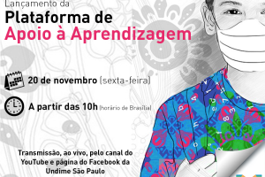 undimesp_2011