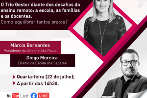 undimesp_2207