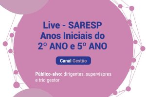undimesp_3010